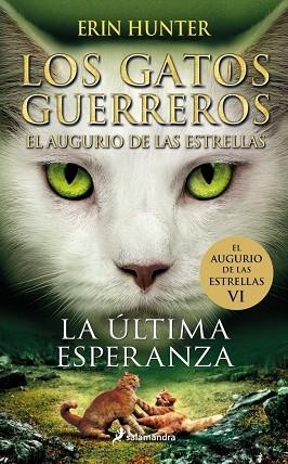 ÚLTIMA ESPERANZA, LA (LOS GATOS GUERREROS | EL AUGURIO DE LAS ESTRELLAS 6) | 9788419275424 | HUNTER, ERIN | Llibreria Drac - Llibreria d'Olot | Comprar llibres en català i castellà online