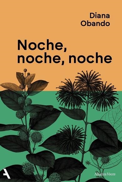 NOCHE, NOCHE, NOCHE | 9791370093235 | OBANDO, DIANA | Llibreria Drac - Librería de Olot | Comprar libros en catalán y castellano online