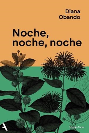 NOCHE, NOCHE, NOCHE | 9791370093235 | OBANDO, DIANA | Llibreria Drac - Librería de Olot | Comprar libros en catalán y castellano online