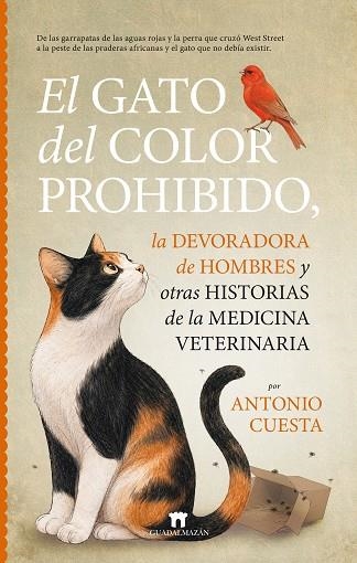 GATO DEL COLOR PROHIBIDO, EL | 9791387941314 | ANTONIO CUESTA | Llibreria Drac - Librería de Olot | Comprar libros en catalán y castellano online