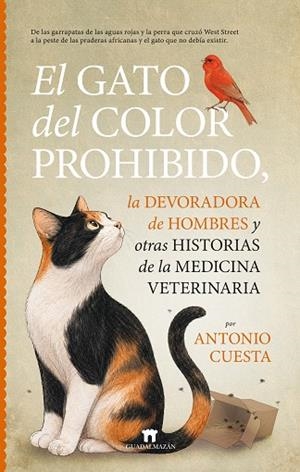 GATO DEL COLOR PROHIBIDO, EL | 9791387941314 | ANTONIO CUESTA | Llibreria Drac - Librería de Olot | Comprar libros en catalán y castellano online