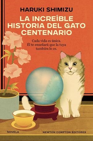 INCREÍBLE HISTORIA DEL GATO CENTENARIO, LA | 9791388259517 | SHIMIZU, HARUKI | Llibreria Drac - Llibreria d'Olot | Comprar llibres en català i castellà online