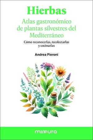 HIERBAS. ATLAS GASTRONÓMICO DE LAS PLANTAS SILVESTRES DEL MEDITERRÁNEO | 9791399220315 | PIERONI, ANDREA | Llibreria Drac - Llibreria d'Olot | Comprar llibres en català i castellà online