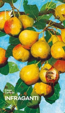 INFRAGANTI | 9788412709292 | CAÑEDO, CÉSAR | Llibreria Drac - Librería de Olot | Comprar libros en catalán y castellano online
