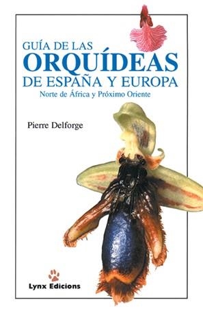 GUIA DE LAS ORQUIDEAS DE ESPAÑA Y EUROPA | 9788487334382 | DELFORGE, PIERRE | Llibreria Drac - Llibreria d'Olot | Comprar llibres en català i castellà online