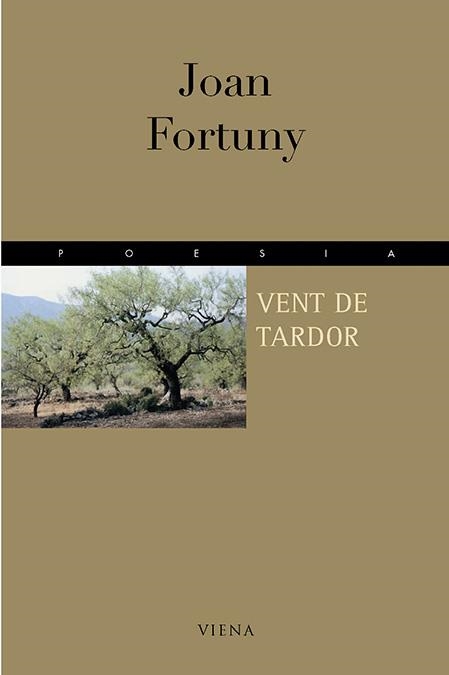 VENT DE TARDOR | 9788483301609 | FORTUNY, JOAN | Llibreria Drac - Librería de Olot | Comprar libros en catalán y castellano online