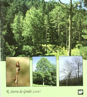 ALAMO TEMBLON, EL | 9788484760962 | SIERRA DE GRADO, R | Llibreria Drac - Librería de Olot | Comprar libros en catalán y castellano online