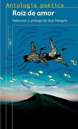 RAIZ DE AMOR.ANTOLOGIA POETICA | 9788420444987 | AAVV | Llibreria Drac - Llibreria d'Olot | Comprar llibres en català i castellà online