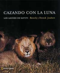 CAZANDO CON LA LUNA.  LOS LEONES DE SAVUTI | 9788482982908 | JOUBERT, BEVERLY & DERECK | Llibreria Drac - Llibreria d'Olot | Comprar llibres en català i castellà online