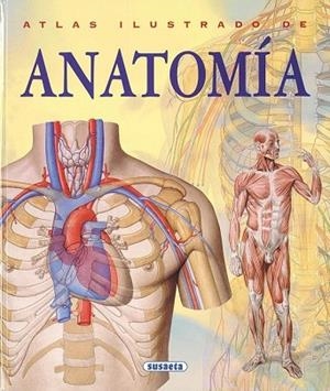 ATLAS ILUSTRADO DE ANATOMIA | 9788430534784 | Llibreria Drac - Llibreria d'Olot | Comprar llibres en català i castellà online