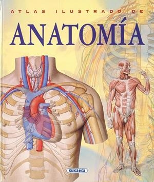 ATLAS ILUSTRADO DE ANATOMIA | 9788430534784 | Llibreria Drac - Llibreria d'Olot | Comprar llibres en català i castellà online