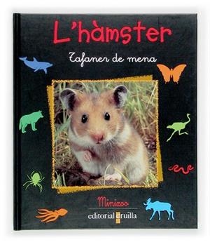 HAMSTER, L' | 9788466107013 | STAROSTA, PAUL | Llibreria Drac - Llibreria d'Olot | Comprar llibres en català i castellà online