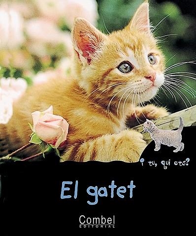 GATET, EL | 9788478642304 | MARIE, CHRISTIAN | Llibreria Drac - Llibreria d'Olot | Comprar llibres en català i castellà online