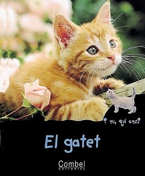 GATET, EL | 9788478642304 | MARIE, CHRISTIAN | Llibreria Drac - Librería de Olot | Comprar libros en catalán y castellano online