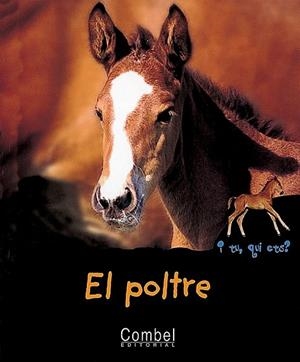 POLTRE, EL | 9788478642151 | MARIE, CHRISTIAN | Llibreria Drac - Librería de Olot | Comprar libros en catalán y castellano online