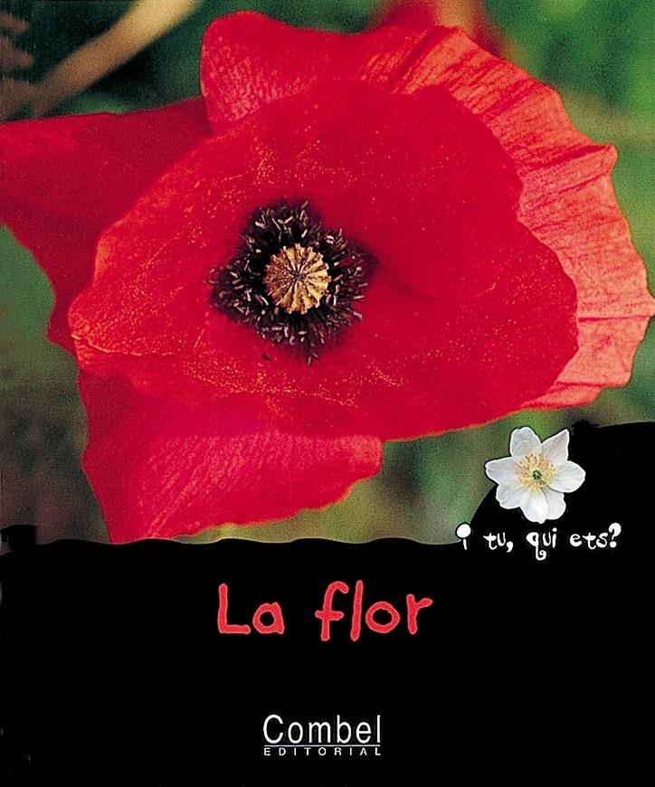 FLOR, LA | 9788478642786 | MARIE, CHRISTIAN | Llibreria Drac - Librería de Olot | Comprar libros en catalán y castellano online